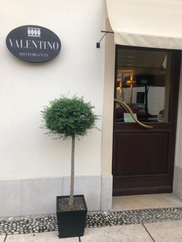 
a tree in front of a building with a sign on it at Valentino in Portogruaro
