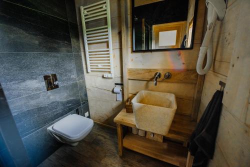 a small bathroom with a toilet and a sink at Polanka in Witów