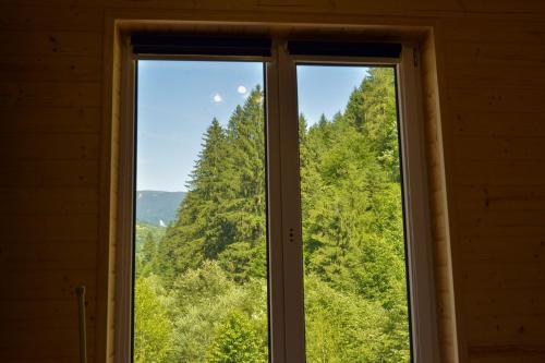 a window with a view of the forest at Lisnyi in Mizhhirʼʼya