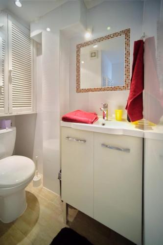 une salle de bain avec un lavabo, des toilettes et un miroir dans l'établissement Charming Studio - heart of the city / Downtown, à Fontainebleau