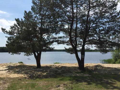 two trees in the sand near a body of water at Marta in Okuninka
