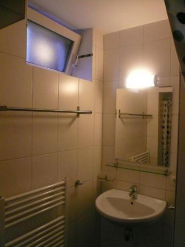 a bathroom with a sink and a mirror at Houseboat Vliegenbos in Amsterdam