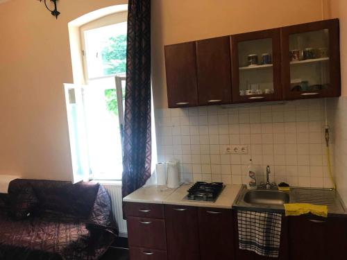 Kuchyňa alebo kuchynka v ubytovaní Gyulai Meseház Apartman