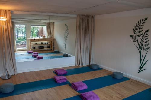 an overhead view of a yoga room with blue and purple mats at Heideträume Appartements in Undeloh