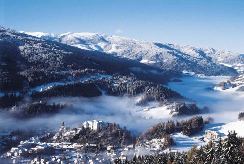 a view of a mountain with a town in the snow at Egidiwirt Murau in Murau
