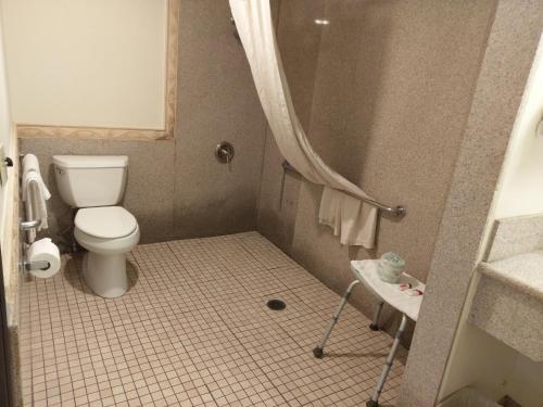 a small bathroom with a toilet and a shower at Travelodge by Wyndham Costa Mesa Newport Beach Hacienda in Costa Mesa