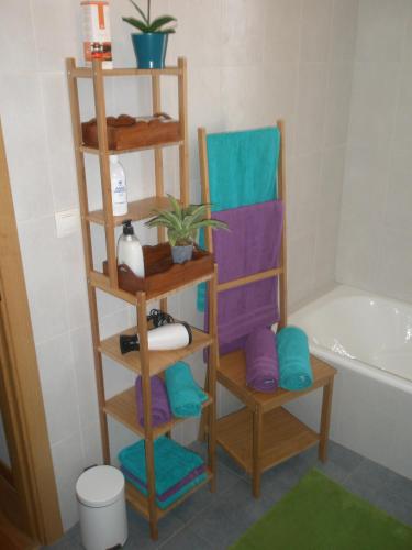 a bathroom with a towel rack and a bath tub at Bienvenidos a vuestra casa! in Sansoáin