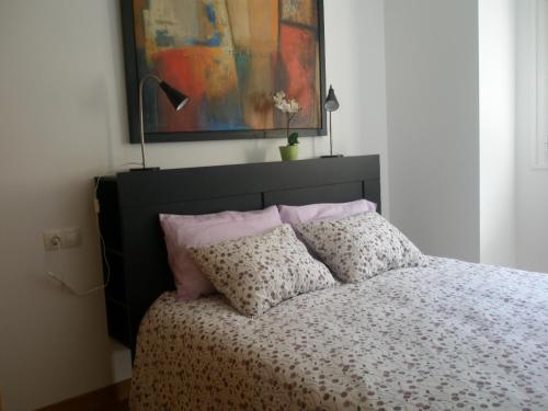 Un dormitorio con una cama con almohadas y una pintura en Bienvenidos a vuestra casa!, en Sansoáin