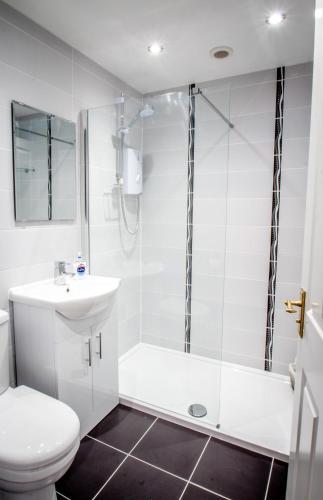 a bathroom with a toilet and a sink and a shower at Altahammond House in Carrickfergus