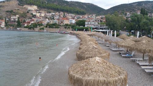 Φυσικό τοπίο κοντά σε αυτός ο ξενώνας