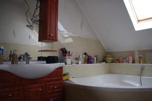 a bathroom with a sink and a bath tub at Horváth Kert Vendégház in Zirc