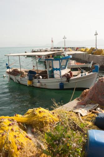 Φυσικό τοπίο κοντά σε αυτός ο ξενώνας
