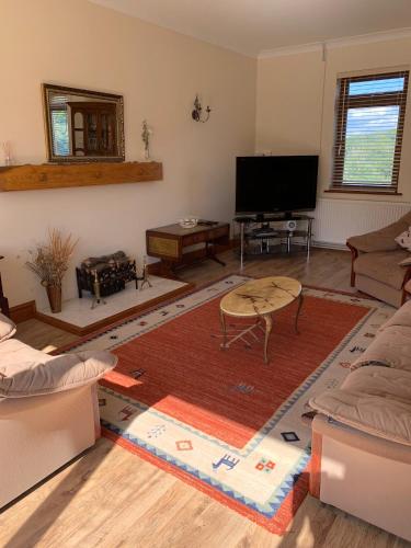 TV a/nebo společenská místnost v ubytování Penddaulwyn Uchaf Farm # Carmarthenshire