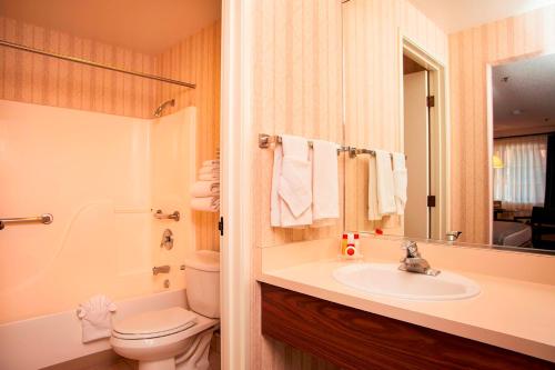 y baño con lavabo, aseo y espejo. en Carson Valley Motor Lodge and Extended Stay en Minden