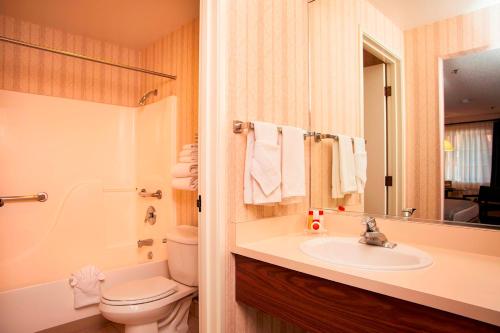 a bathroom with a sink and a toilet and a mirror at Carson Valley Motor Lodge and Suites in Minden