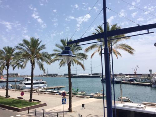 a view of a harbor with palm trees and water at Port 3 in Tarragona