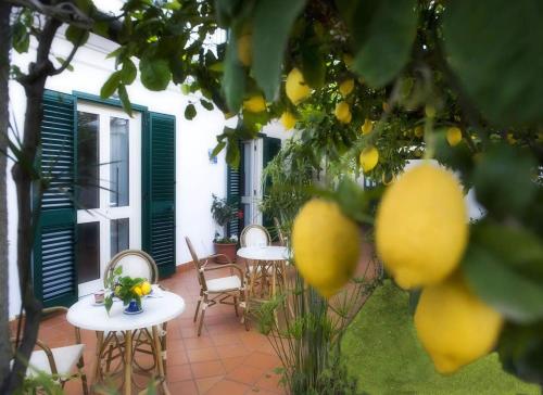 Zahrada ubytování B&B Ravello Rooms
