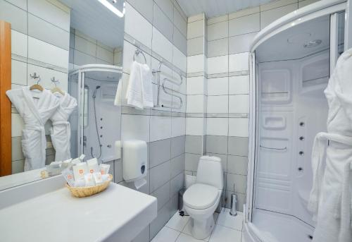 ein Bad mit einem WC, einem Waschbecken und einer Dusche in der Unterkunft Empire Hotel in Irkutsk