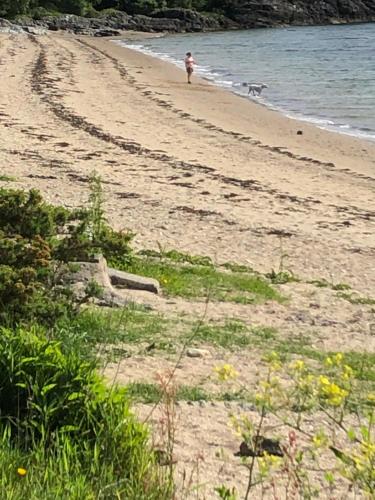 a person walking on a beach with a dog at Lyndhurst 39 in Dunoon