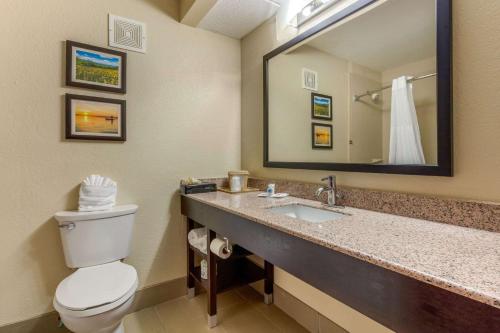 a bathroom with a toilet and a sink with a mirror at Comfort Inn Lenoir City-Knoxville in Lenoir City
