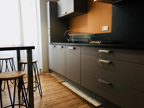 une cuisine avec des placards gris et un comptoir dans l'établissement Villa Tarbis Tarbes centre ville , appartements tout confort, à Tarbes