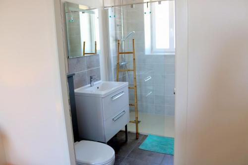 ein Badezimmer mit weißer Toilette und Waschbecken in der Unterkunft L'EDEN DE LA HAUTE FORET in Mervent