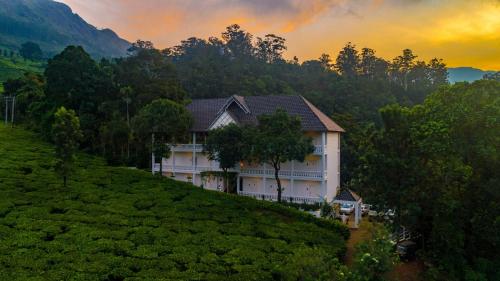 Tea Harvester – Photos 5