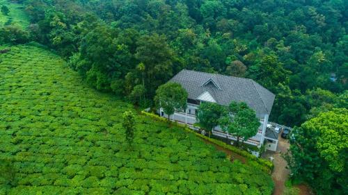 Tea Harvester – Photos 2