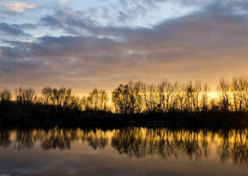 a sunset over a river with trees in the water at Tinyhouses am Neusiedlersee in Fertőrákos