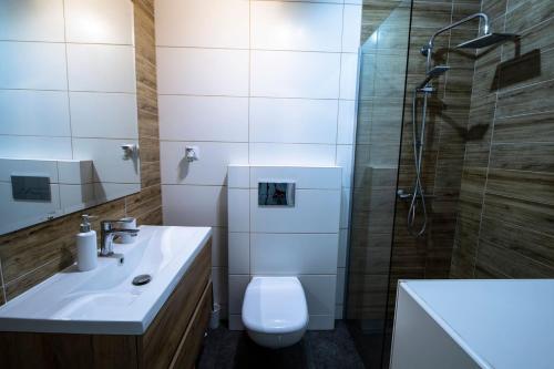 een badkamer met een toilet, een douche en een wastafel bij Domek nad Sanem in Zagórz