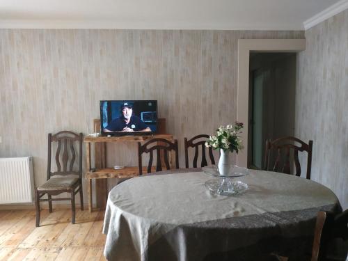 TV a/nebo společenská místnost v ubytování Mount Guest
