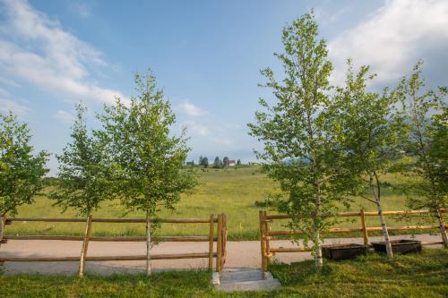 two trees next to a fence in a field at Guest house Sky Blue in Žabljak