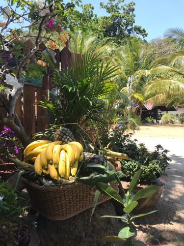 a basket full of bananas and othercellaneous fruits and vegetables at KALUME' Eco Boutique Resort-Adult only in Koh Kradan