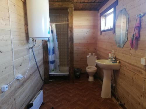 フジュルにあるGuest House Dudeevykhのバスルーム(トイレ、シャワー、シンク付)