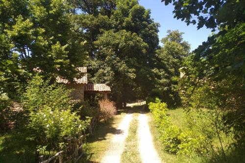 a dirt road through a garden with trees at Torre Camigliati Dimora Storica in Camigliatello Silano