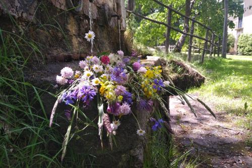 a bunch of flowers on the side of a tree at Torre Camigliati Dimora Storica in Camigliatello Silano