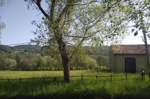 an old barn in a field with a tree at Torre Camigliati Dimora Storica in Camigliatello Silano