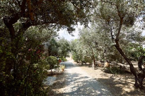 a dirt road with trees on either side at Nikolaou Art Residence in Aegina Town
