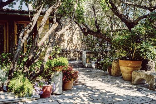 a garden with potted plants on a sidewalk at Nikolaou Art Residence in Aegina Town