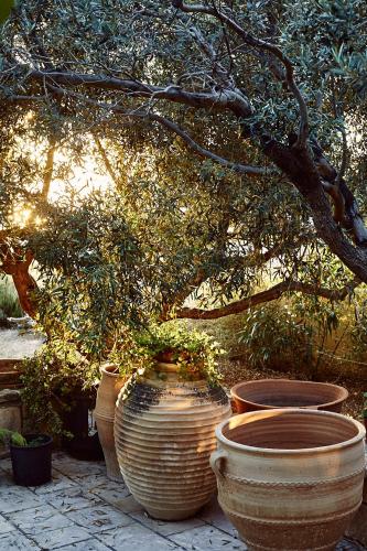 a group of large pots sitting next to a tree at Nikolaou Art Residence in Aegina Town