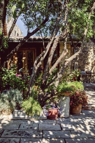 a tree in front of a house with plants at Nikolaou Art Residence in Aegina Town