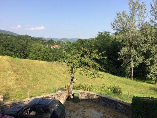 a car parked next to a tree in a field at B&B da Paola in Bardalone