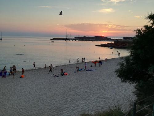 un grupo de personas en una playa al atardecer en Le Rose Marine en Isola Rossa