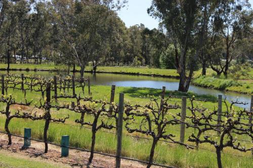 a fence with trees in a field next to a pond at Oxenberry Farm in McLaren Vale