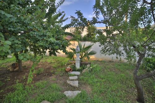 Сад в Villa Musella B&B