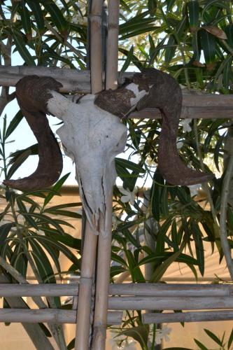 Fotografie z fotogalerie ubytování Xenios Dias v destinaci Matala