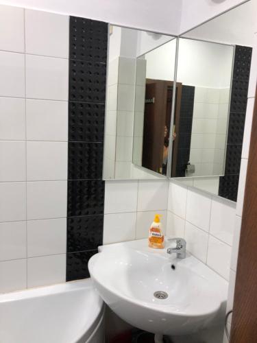 コンスタンツァにあるGarsoniera Alexandraのバスルーム(シンク、鏡、バスタブ付)