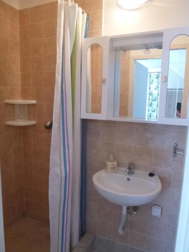 a bathroom with a sink and a shower curtain at Afrodita in Štúrovo