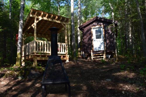 a small cabin in the woods with a swing at Bois Rond Expérience in Saguenay