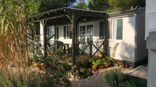 Zahrada ubytování Camp Sita